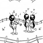 Cricket Serenade