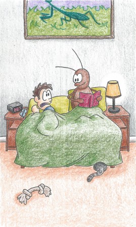 The Bed Bug